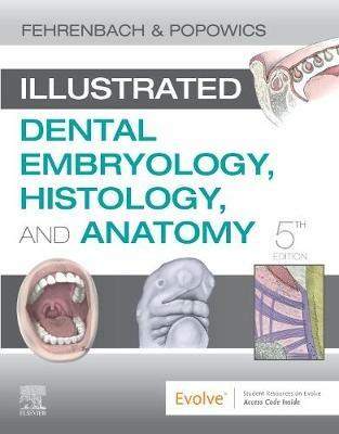Illustrated Dental Embryology, Histology, and Anatomy - Margaret J. Fehrenbach,Tracy Popowics - cover