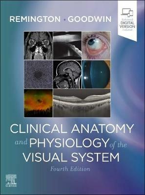 Clinical Anatomy and Physiology of the Visual System - Lee Ann Remington,Denise Goodwin - cover