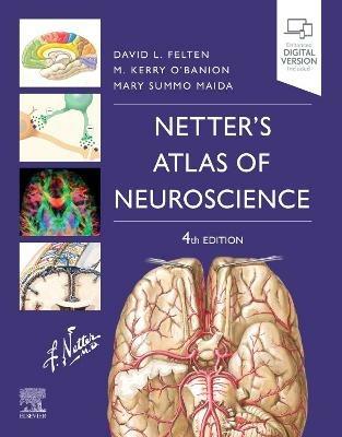 Netter's Atlas of Neuroscience - David L. Felten,Michael K. O'Banion,Mary Summo Maida - cover