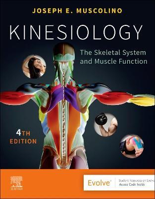 Kinesiology: The Skeletal System and Muscle Function - Joseph E. Muscolino - cover