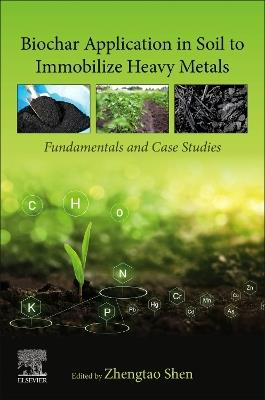 Biochar Application in Soil to Immobilize Heavy Metals: Fundamentals and Case Studies - cover