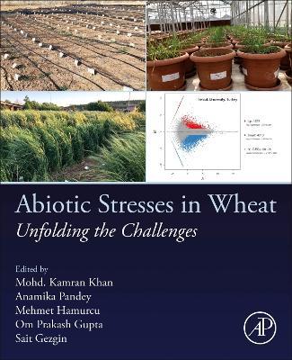 Abiotic Stresses in Wheat: Unfolding the Challenges - cover