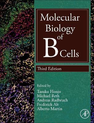 Molecular Biology of B Cells - cover
