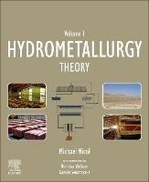 Hydrometallurgy: Theory - Michael Nicol - cover