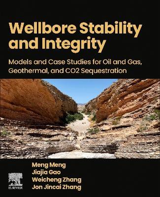 Wellbore Stability and Integrity: Models and Case Studies for Oil and Gas, Geothermal, and CO2 Sequestration - Meng Meng,Jiajia Gao,Weicheng Zhang - cover