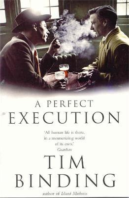 A Perfect Execution - Tim Binding - cover
