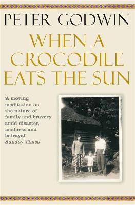 When A Crocodile Eats the Sun - Peter Godwin - cover