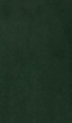 International Trade Theory in a Developing World - Douglas Hagued - cover