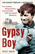 Gypsy Boy: The bestselling memoir of a Romany childhood