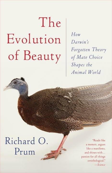Evolution of Beauty: How Darwin's Forgotten Theory of Mate Choice Shapes the Animal World - and Us - Richard O. Prum - 2