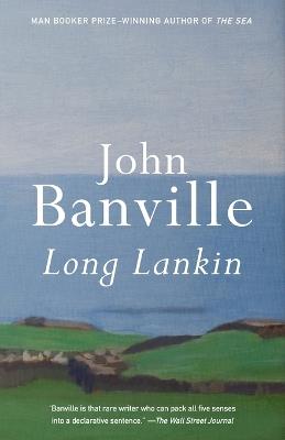 Long Lankin - John Banville - cover