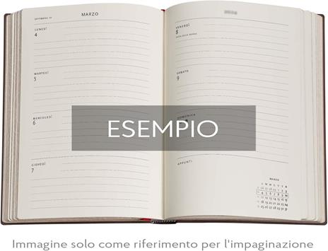 Agenda accademica Paperblanks, 2026 Restoration 18 mesi Midi, orizzontale - 4