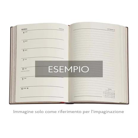 Agenda Paperblanks, 2026 Volta del Duomo Milano 12 mesi Midi, VSO - 5