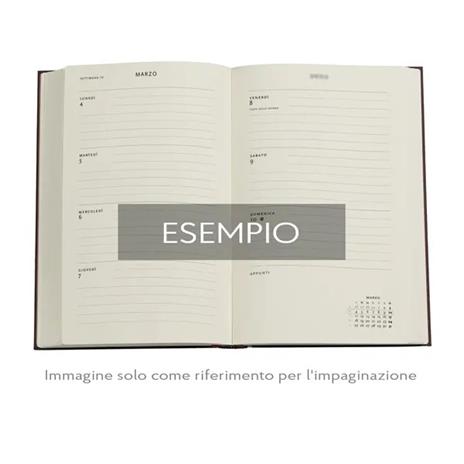 Agenda Paperblanks, 2026 Spinola Hours 12 mesi Maxi, orizzontale - 5