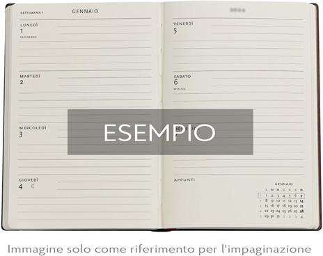 Agenda Paperblanks, 2026 Morris Birds 12 mesi Flex Mini, orizzontale - 4
