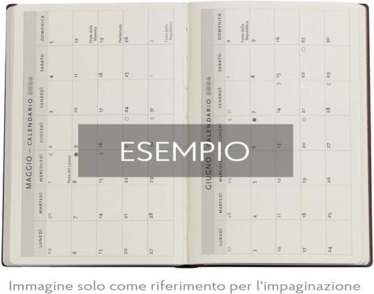 Agenda Paperblanks, 2026 Morris Birds 12 mesi Flex Mini, orizzontale - 5
