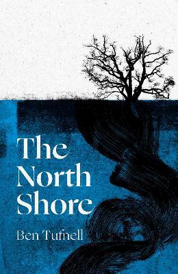 The North Shore: a stunning gothic debut - Ben Tufnell - cover