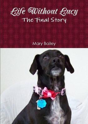 Life Without Lucy - Mary Bailey - cover
