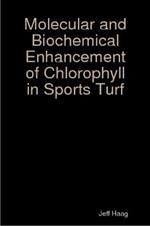 Molecular and Biochemical Enhancement of Chlorophyll in Sports Turf