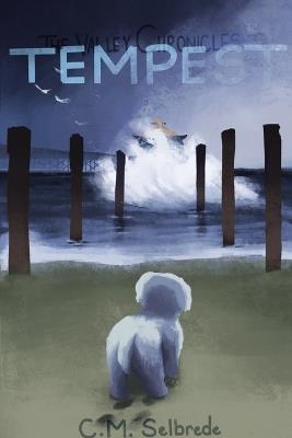 The Valley Chronicles: Tempest - C M Selbrede - cover