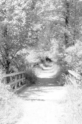 bridges - m montalbano - cover