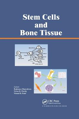 Stem Cells and Bone Tissue - cover