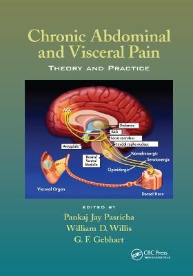 Chronic Abdominal and Visceral Pain: Theory and Practice - cover