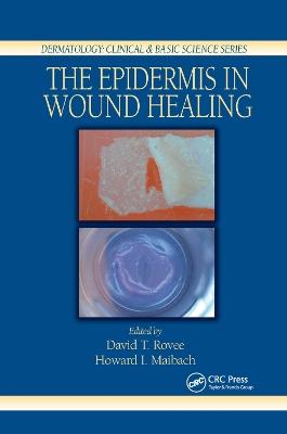 The Epidermis in Wound Healing - cover