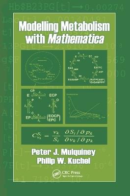 Modelling Metabolism with Mathematica - Peter Mulquiney,Philip W. Kuchel - cover