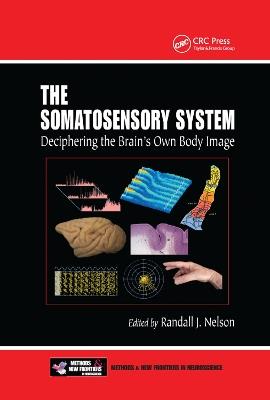 The Somatosensory System: Deciphering the Brain's Own Body Image - cover