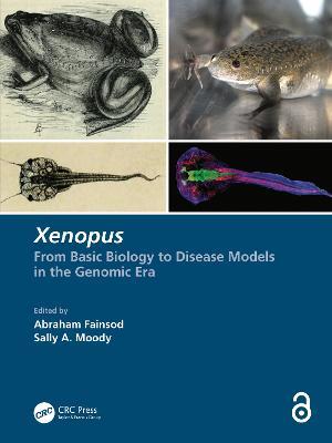 Xenopus: From Basic Biology to Disease Models in the Genomic Era - cover