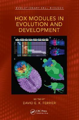 Hox Modules in Evolution and Development - cover