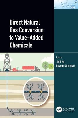 Direct Natural Gas Conversion to Value-Added Chemicals - cover
