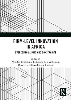 Firm-Level Innovation In Africa: Overcoming Limits and Constraints - cover