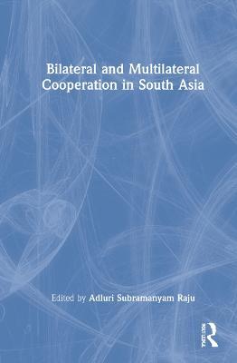 Bilateral and Multilateral Cooperation in South Asia - cover