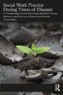 Social Work Practice During Times of Disaster: A Transformative Green Social Work Model for Theory, Education and Practice in Disaster Interventions - Lena Dominelli - cover