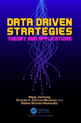 Data Driven Strategies: Theory and Applications - Wang Jianhong,Ricardo A. Ramirez-Mendoza,Ruben Morales-Menendez - cover