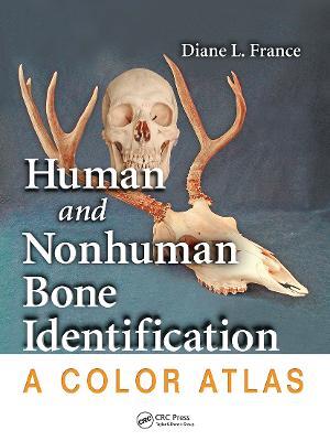 Human and Nonhuman Bone Identification: A Color Atlas - Diane L. France - cover
