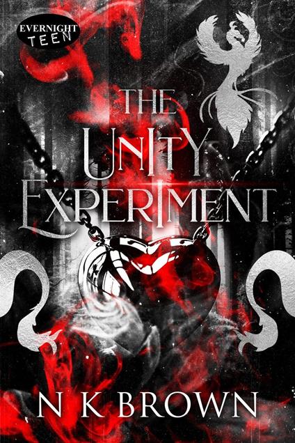 The Unity Experiment - NK Brown - ebook