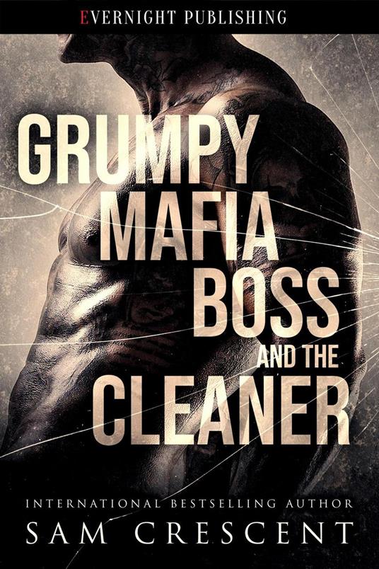 Grumpy Mafia Boss and the Cleaner