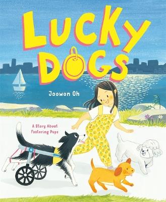 Lucky Dogs: A Story About Fostering Pups - Joowon Oh - cover