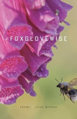 Foxglovewise: Poems - Ange Mlinko - cover