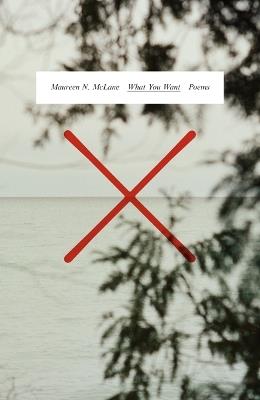 What You Want: Poems - Maureen N McLane - cover