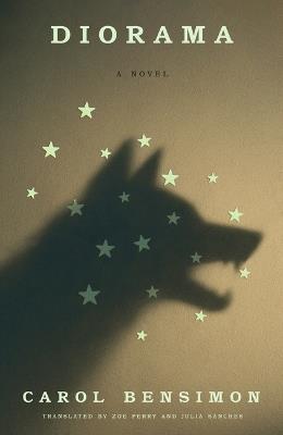 Diorama - Carol Bensimon - cover