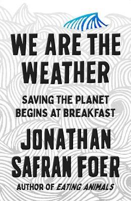 WE ARE THE WEATHER - JONATHAN SAFRAN FOER - cover