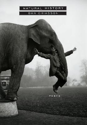 Natural History: Poems - Dan Chiasson - cover
