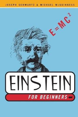 Einstein for Beginners - Joseph Schwartz,Michael McGuinness - cover