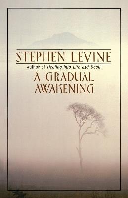 A Gradual Awakening - Stephen Levine - cover