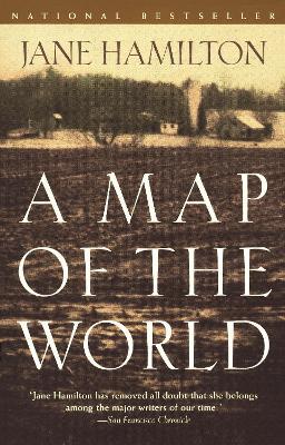 A Map of the World: A Novel - Jane Hamilton - cover