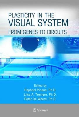 Plasticity in the Visual System: From Genes to Circuits - cover